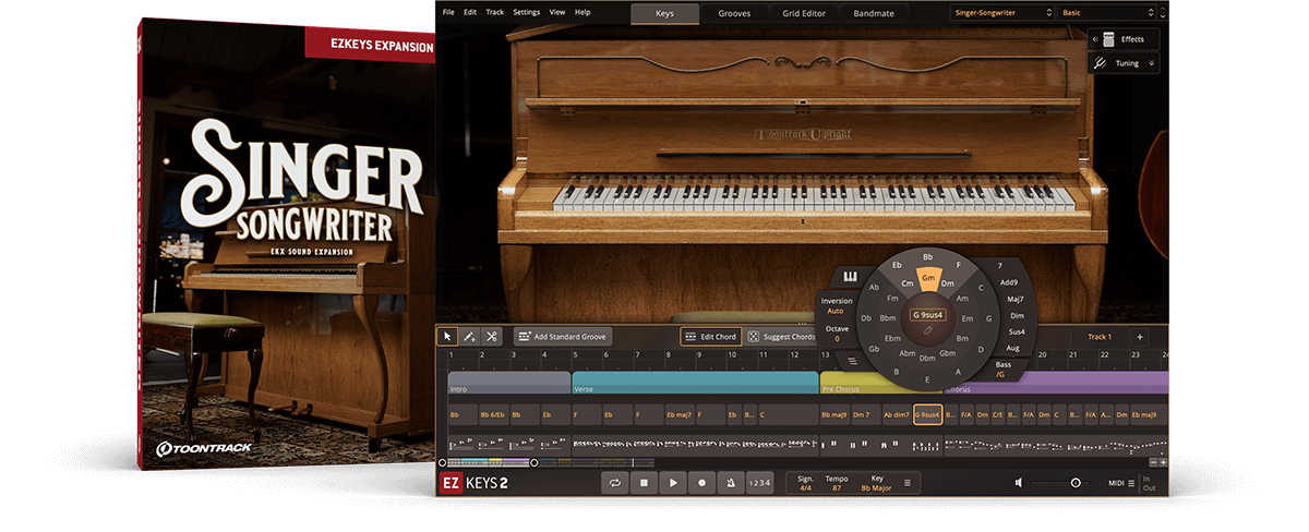 Toontrack EKX EZkeys  -  Singer-Songwriter